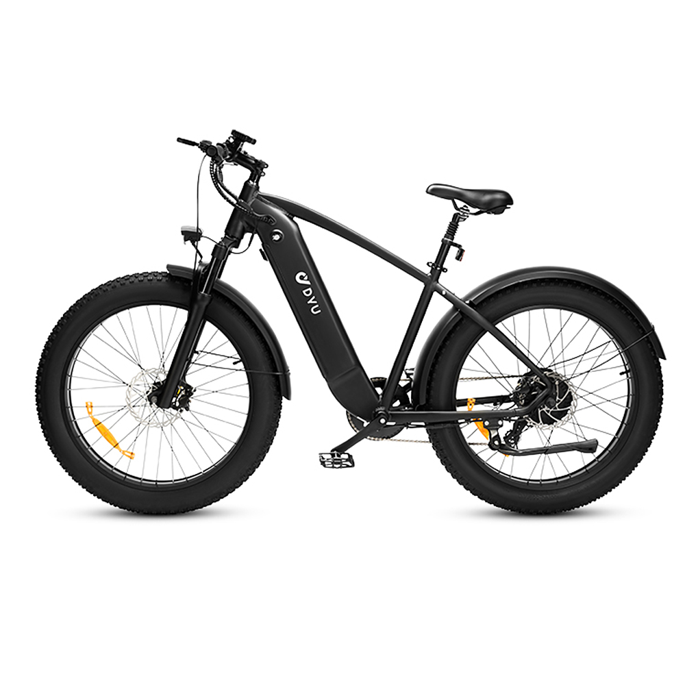 DYU King750 Electric Bike 750W 26*4.0 inch