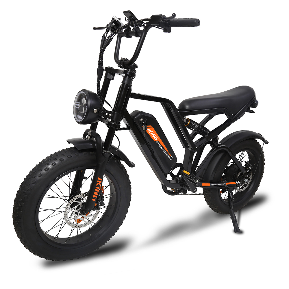 YAMALI FXH-009 Electric Assisted Bicycle 500W 20*4.0 inch
