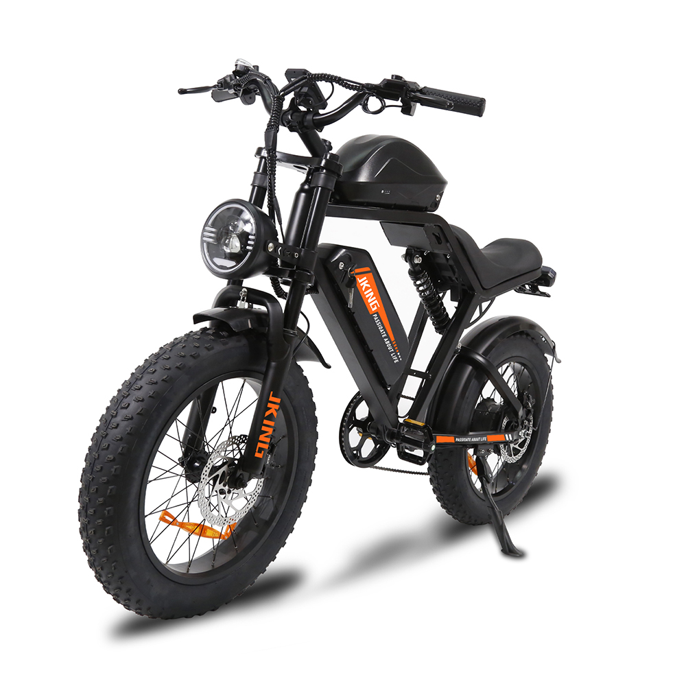 YAMALI FXH-002 Pro Electric Assisted Bicycle 1000W 20*4.0 inch