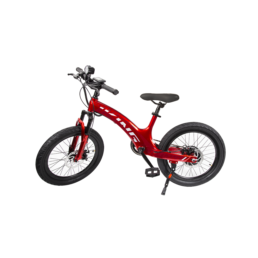YAMALI C8 Electric Assisted Bicycle 250W 20*2.5 inch UK warehouse