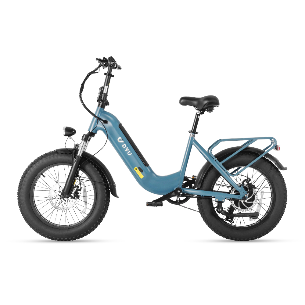 DYU FF500 Electric Assisted Bicycle 500W 20*4.0 inch
