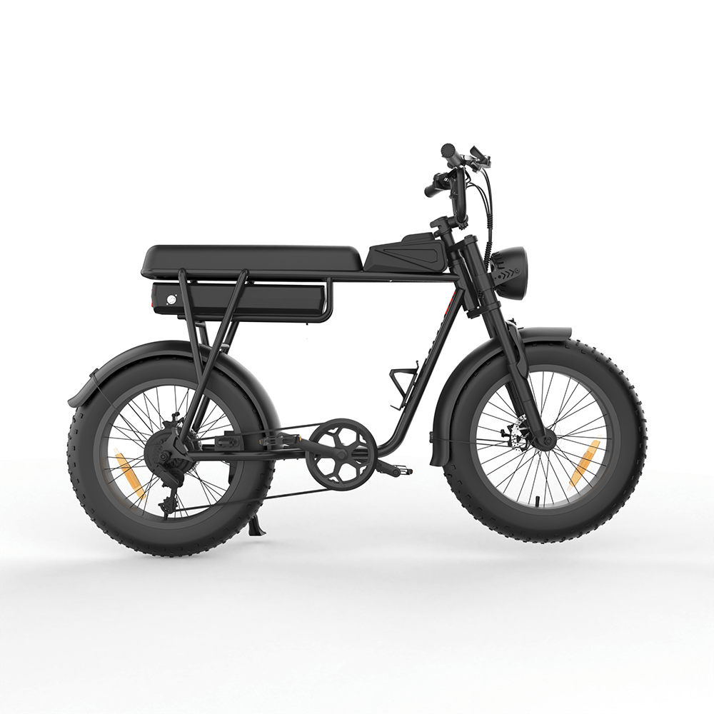 YAMALI FXH-006 Electric Bike 1000W 20*4 inch