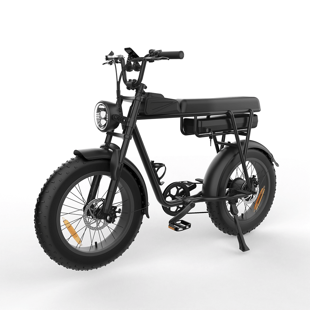 YAMALI FXH-006 Electric Bike 350W 20*4 inch