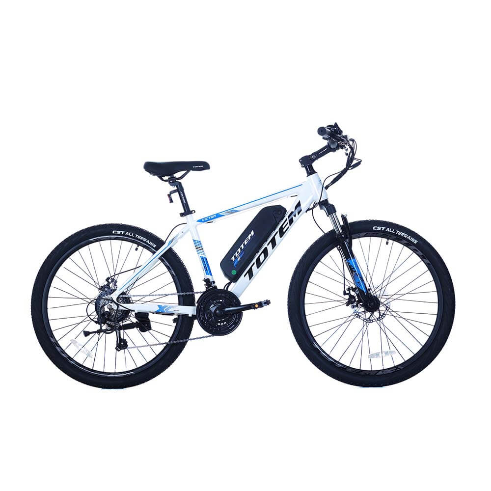TOTEM VICTOR Electric Bike  350W  26*1.95 inch